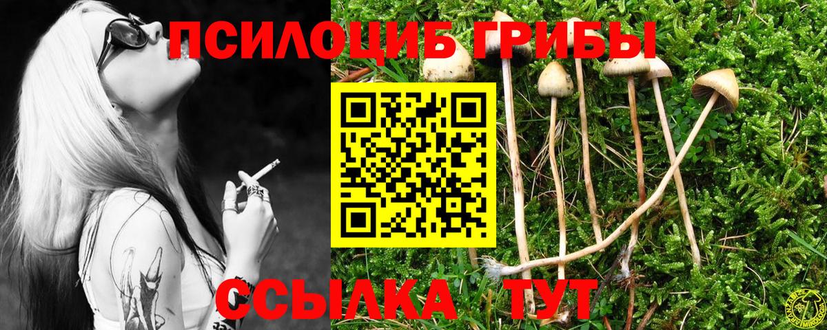 Псилоцибиновые грибы MAGIC MUSHROOMS Знаменск