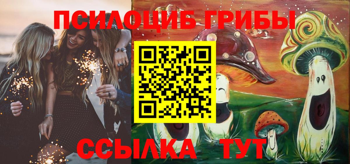 Знаменск  Псилоцибиновые грибы ЛСД  Вход с VPN 